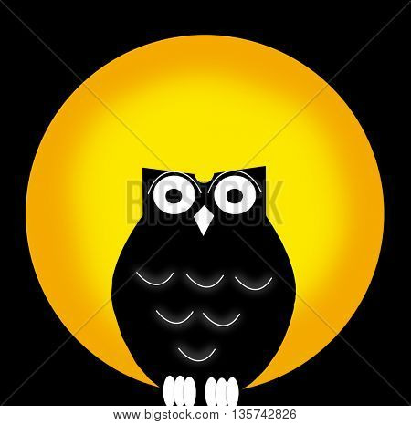 owl and moon