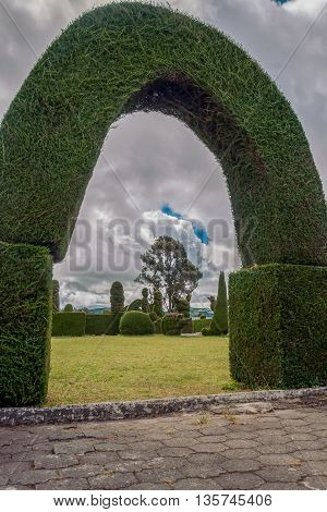 The Cemetery Of Tulcan Is Located Is The Calcareous Soil That Favor The Growth Of Cypress Ecuador South America