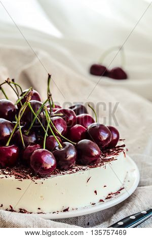 Vanilla bavarian mousse cake with cherries and dark chocolate. Made with cream cheese, mascarpone and whipped cream. White plate and light background.