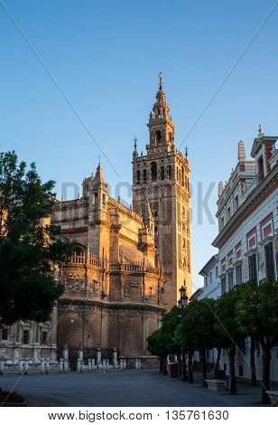 view of the Seville cathedral and giralda bell tower in summer 2016