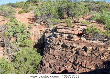 Sandstone rock and native flora in the rugged bushland at Z-bend gorge in the Kalbarri National Park in Western Australia.