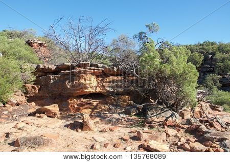 Sandstone rock and native flora in the rugged bushland at Z-bend gorge in the Kalbarri National Park in Western Australia.