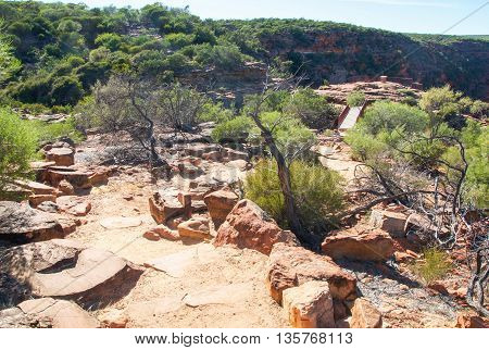 Pedestrian path to the Z-bend lookout with bridge in Kalbarri National Park, with red sandstone and native green flora under a clear blue sky in Kalbarri, Western Australia.