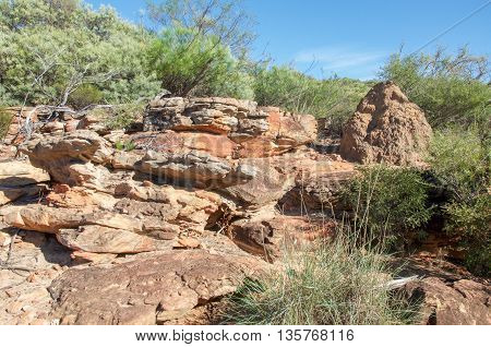 Termite mound in the rugged terrain with red, layered sandstone rock formations and native plants under a clear blue sky at Kalbarri National Park in Western Australia.