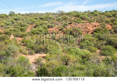 Termite sand mound in the lush and rugged terrain in Kalbarri National Park in Western Australia.