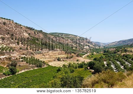 Cretan rural landscape with olive trees. Crete island Greece.