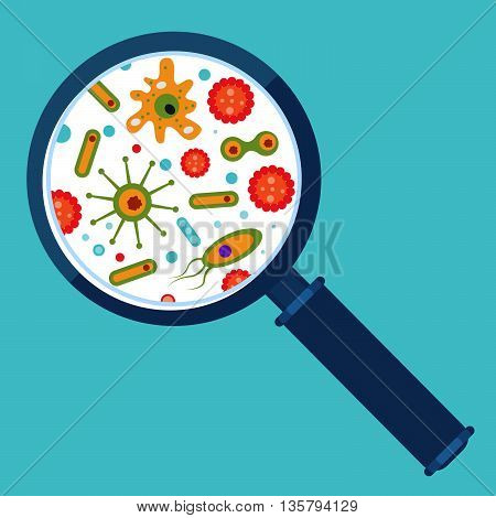Magnifier And Bacteria