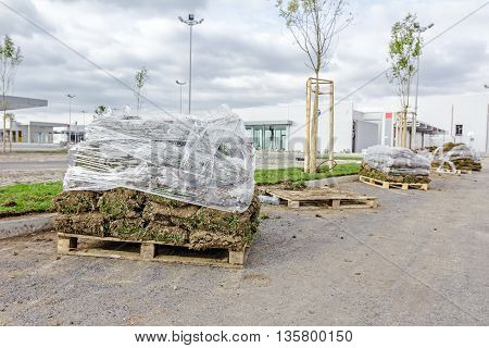 Stack of turf grass rolls for a lawn piled on wooden pallet.