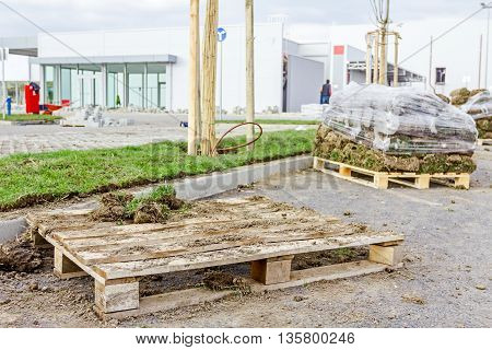 Stack of turf grass rolls for a lawn piled on wooden pallet.