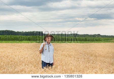 Senior Peasant In Golden Barley Field