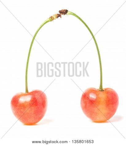 Two yellow cherries isolated on white background.