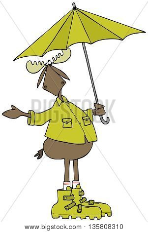 Illustration of a bull moose wearing rain gear and holding a matching umbrella while checking for precipitation..