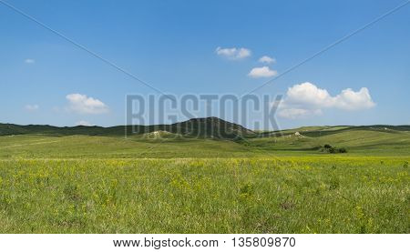 Beautiful green summer steppe, tourism, travel, serenity, panorama