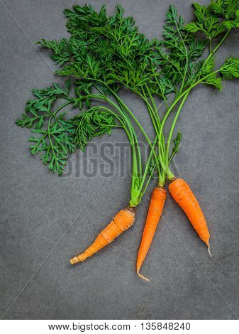 Fresh Carrots Bunch On Dark Concrete Background. Raw Fresh Carrots With Tails. Fresh Organic Carrots