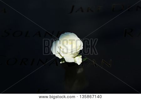 Flower left at the National 9/11 Memorial at Ground Zero in Lower Manhattan