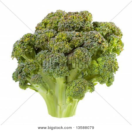 Broccoli