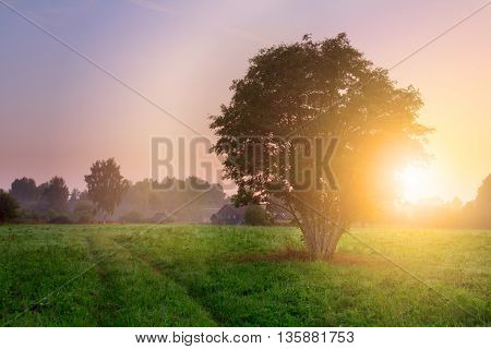 Beautiful sunrise in the village. Yaroslavl region. Russia.