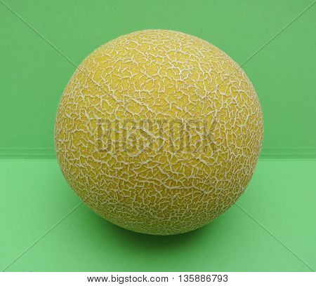 Melon Galia Fruit