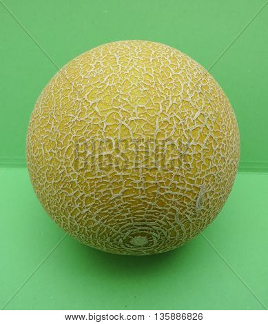 Melon Galia Fruit