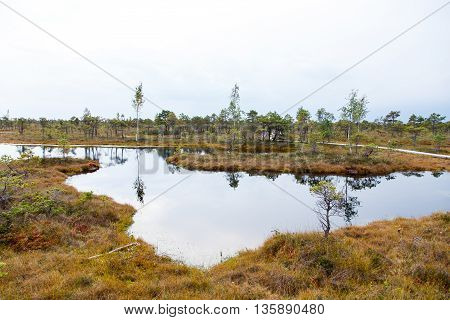 Beautiful Small lake in Kemeri National Park, Kemeri, Latvia with a sky reflection in water surface