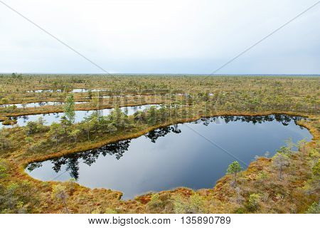 Beautiful Small lake in Kemeri National Park, Kemeri, Latvia with a sky reflection in water surface