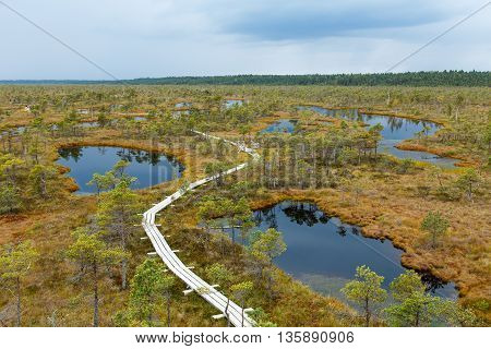 Beautiful Small lake in Kemeri National Park, Kemeri, Latvia with a sky reflection in water surface