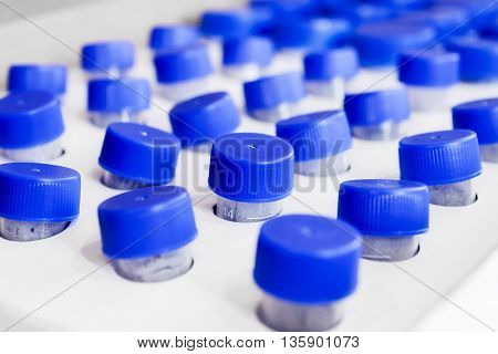 Plastic containers for samples set in rows in the tray. Shallow depth of field.