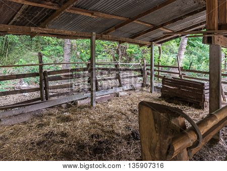 Old wooden stall with hay on the ground for cattel of the local farming in Thailand.