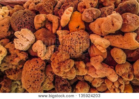 Natural orange, tan and brown sea sponges shot at closeup range ideal for backgrounds.