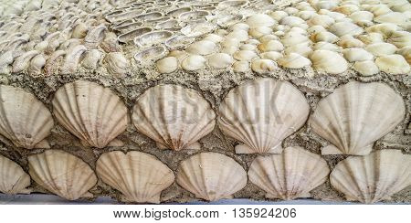 Sea shells embedded in grey sandy material with room for text.