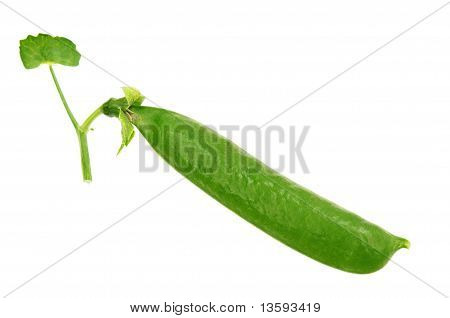 Herne pod