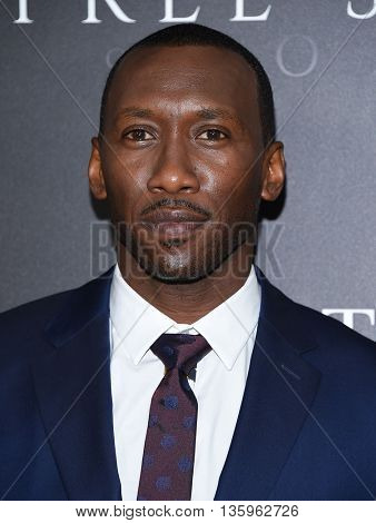 LOS ANGELES - JUN 21:  Mahershala Ali arrives to the 