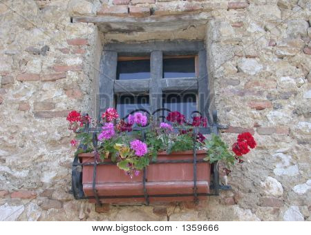 Blumen am Fenster