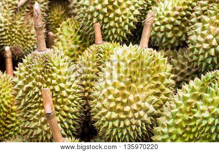 The Pile Of Durain From Garden In Thailand Market, King Of Friut