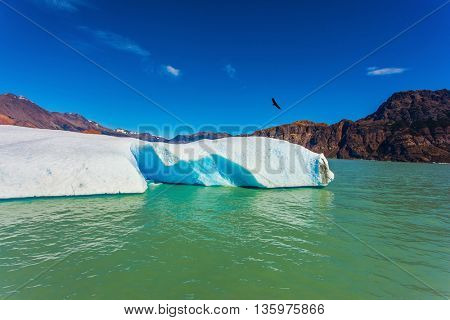 Huge white-blue ice floe drifts from coastal glacier. Argentina Patagonia, emerald water of the lake Viedma 