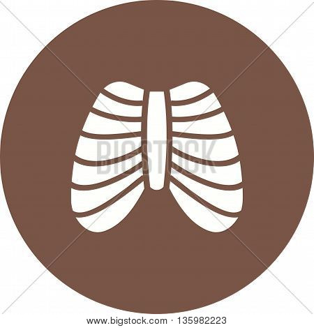 System, ribcage, shape icon vector image. Can also be used for human anatomy. Suitable for mobile apps, web apps and print media.