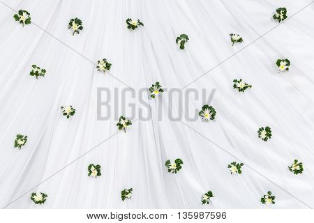 Chrysanthemum With Polyscias Leaf On White Cloth Backdrop