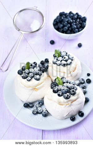 Meringue cake with fresh blueberry summer dessert