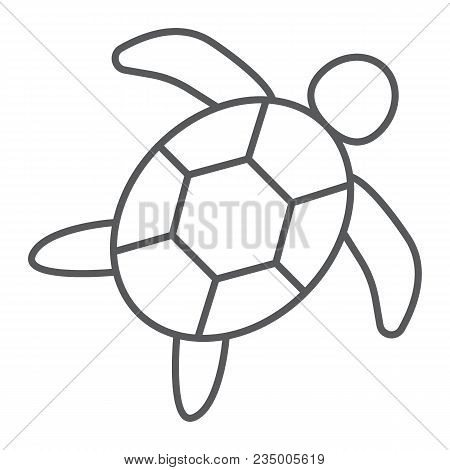 Sea Turtle Thin Line Icon, Animal And Underwater, Aquatic Sign Vector Graphics, A Linear Pattern On 