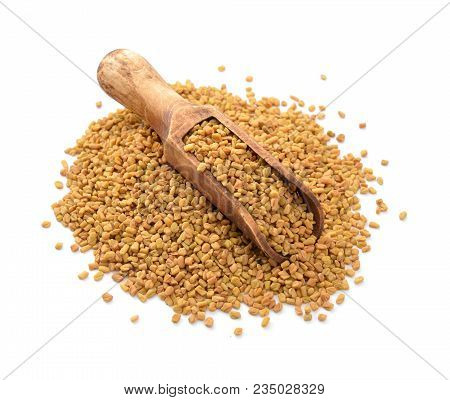 Fenugreek Seed With Scoop Isolated On White.