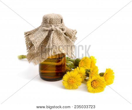 Coltsfoot Flowers With Pharmaceutical Bottle. Isolated On White