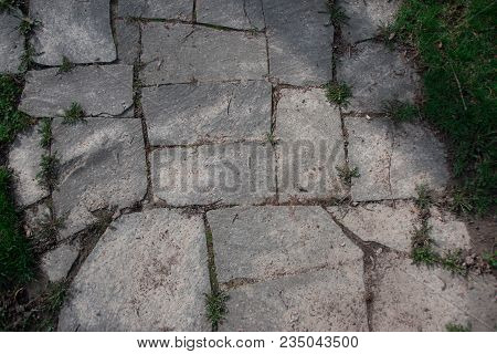 Texture, Old Paving Stones, In The Grass