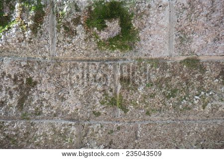 Old White Brick In The Park, With Moss