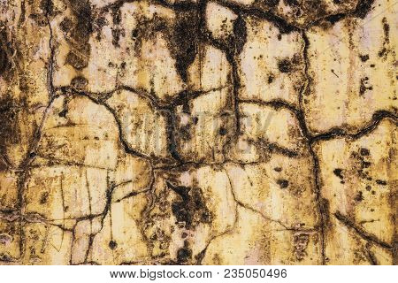 Texture Of An Old Wall. It Is Covered With Cracks And Fungal Spots. Grunge