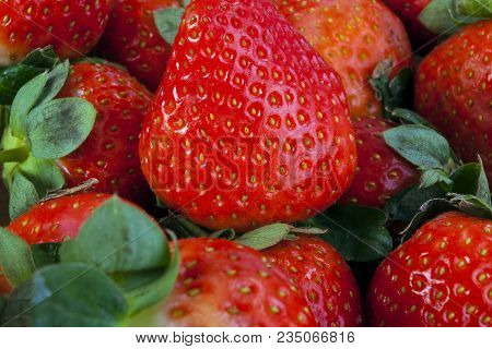 Background From Freshly Harvested Strawberries, Directly Above.  A Real Real Strawberry.