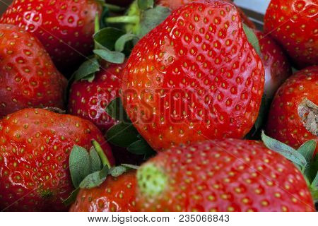 Background From Freshly Harvested Strawberries, Directly Above.  A Real Real Strawberry.
