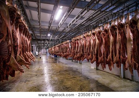 Refrigerator Pork Meat Storage