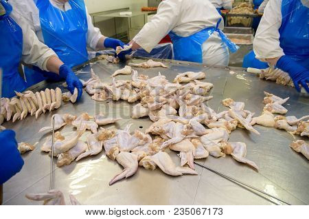 Workers Of Meat Manufacturing