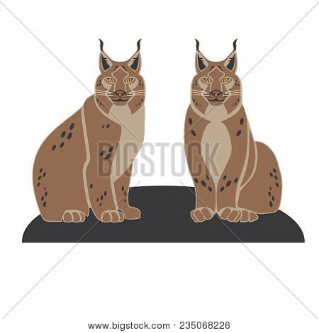 Vector Image Of Two Lynx On White Background