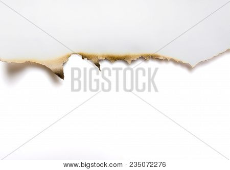 burnt edge paper images